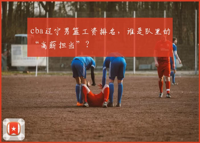cba辽宁男篮工资排名，谁是队里的“高薪担当”？