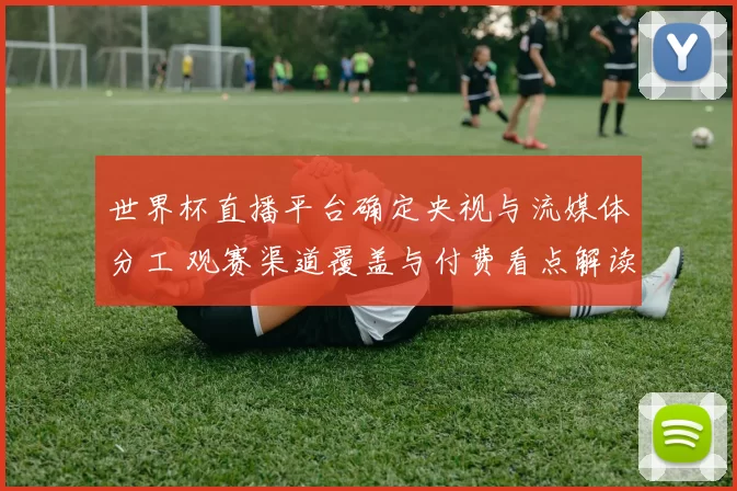 世界杯直播平台确定央视与流媒体分工 观赛渠道覆盖与付费看点解读