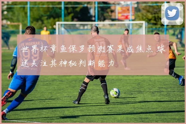 世界杯章鱼保罗预测赛果成焦点 球迷关注其神秘判断能力