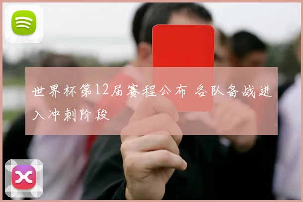 世界杯第12届赛程公布 各队备战进入冲刺阶段