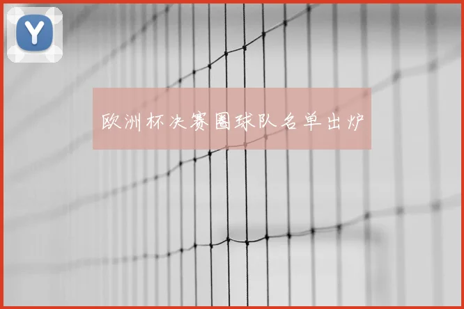 欧洲杯决赛圈球队名单出炉