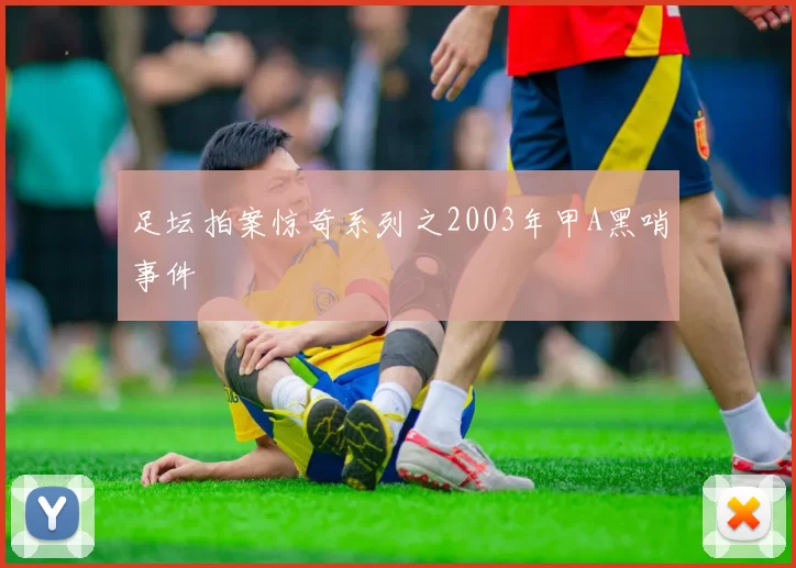 足坛拍案惊奇系列之2003年甲A黑哨事件