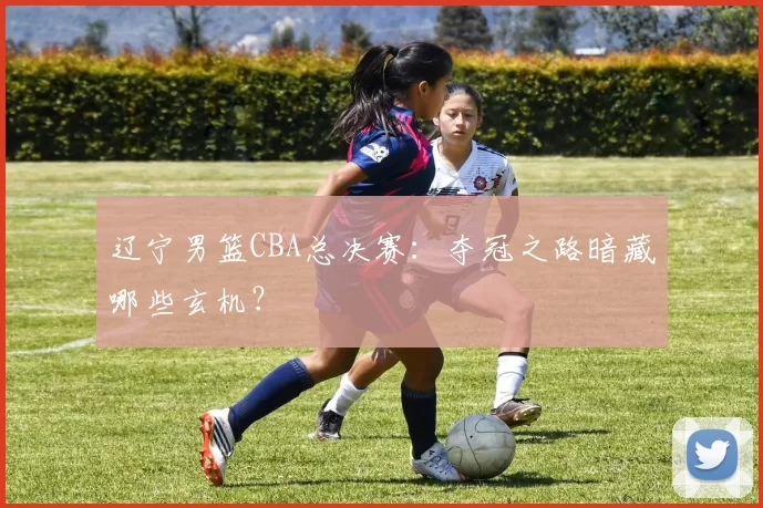 辽宁男篮CBA总决赛：夺冠之路暗藏哪些玄机？