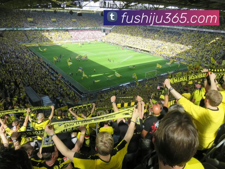 kaiyun体育在线登陆入口(China)官方网站品牌故事